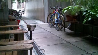 大名でビルの谷間で･･･緑とおいしいコーヒー