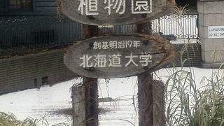 石狩低地帯の原植生を知る