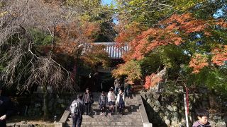 展望台からの眺めは素晴らしい