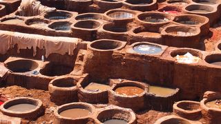 見て損はない光景