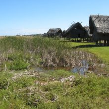 弥生のムラ安国寺集落遺跡公園