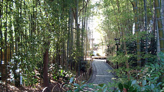 風情があります♪