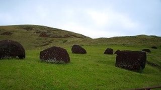 モアイの頭にのせるプカオがたくさん