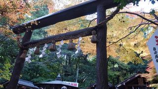 黒木の鳥居が古式ゆかしい