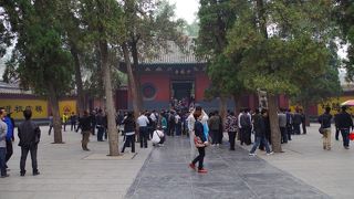 少林武術で有名な中国華北地方曹洞宗の中心の寺。