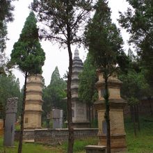 少林寺高僧の集合墓地。それが塔林