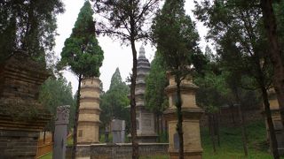 少林寺歴代の高僧の眠る仏塔。文字通り林のようにたくさん立っています。