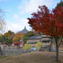 猿沢の池行く近くで