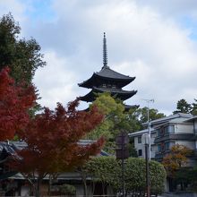 池の所から見える「興福寺」五重塔