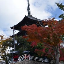 池の所から階段を上がると直ぐに「興福寺」の後樹の灯があります