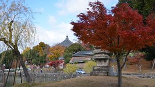 昔から奈良の定番観光スポット