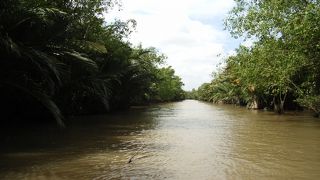 器用にこいでくれます。