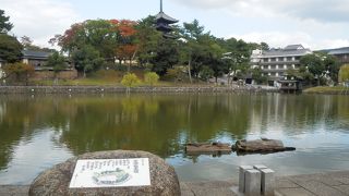 奈良公園の辺にて