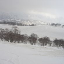 滑っていても周りは雪景色