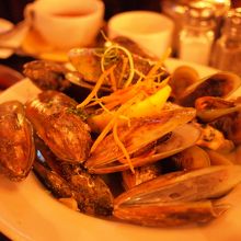 スチームマッスル　HALF KILO