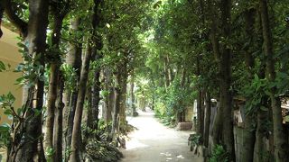 ゆっくりとした時間が流れてます