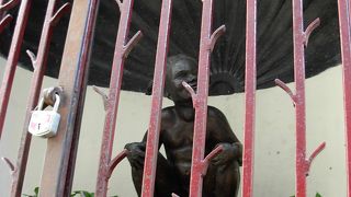 何故か檻の中に。。。