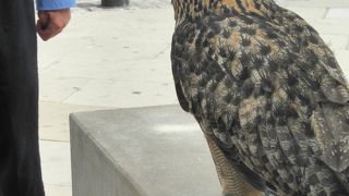 周辺にはいろいろ観光地がある