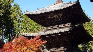 湖南三山・常楽寺の紅葉