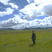 牛や羊が放牧される広大な草原での乗馬体験。開放感バツグン。