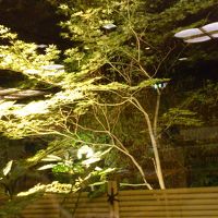 ホテル内の食事処から見る庭園