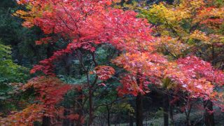 紅葉の名所