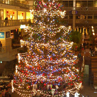 サッポロファクトリー　クリスマスツリー