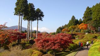 紅葉を見ながら、ランチを楽しむ