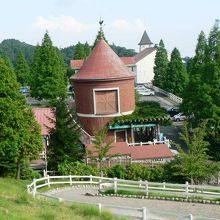 アルプスの雰囲気を味わえる六甲山牧場