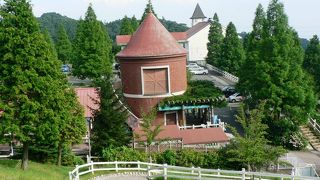 アルプスの雰囲気を味わえる六甲山牧場