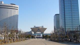 本当に大きいですね