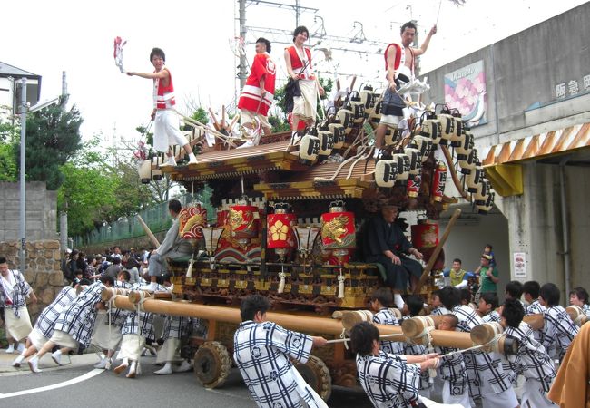 神戸のだんじり祭りです