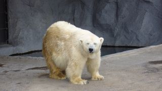 もぐもぐタイム、おすすめです☆