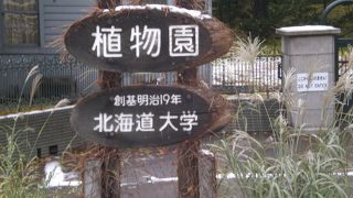 冬の植物園