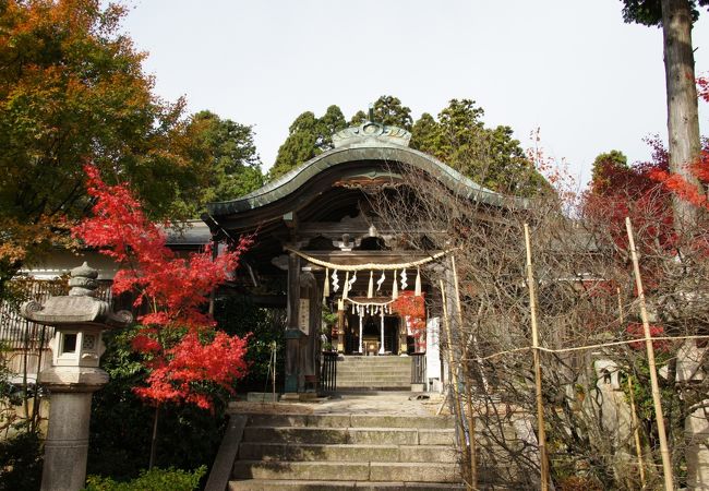 常宮神社 クチコミ アクセス 営業時間 敦賀 フォートラベル