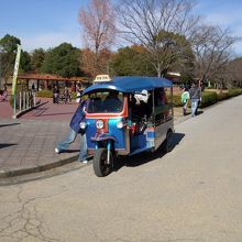 園内移動のタクシー代わりのトゥクトゥク。可愛い★