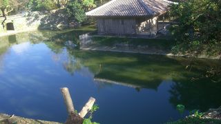 首里城公園畔の小さな池