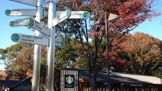 紅葉も素敵でした