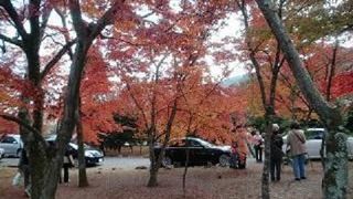 雪のお庭も見てみたい