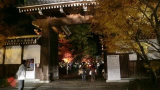 さすが永観堂ですね♪