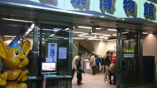 子供を連れて行くにはいいところ