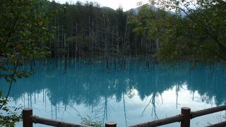 確かに青いが･･･