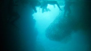 青の洞窟とシュノーケリング。本当に青い。