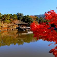 奈良公園、鷺池の浮見堂