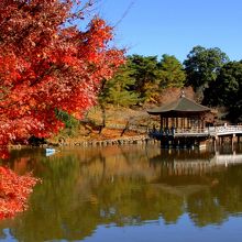 奈良公園、鷺池の浮見堂