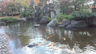 福井名物をセットで！