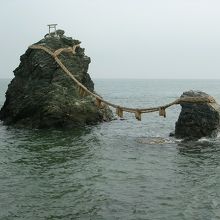 固い夫婦の絆・・・見習いたいですね。