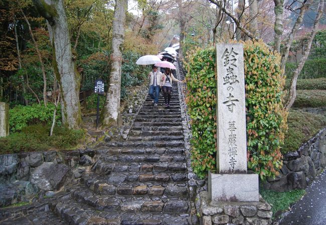 鈴虫寺(華厳寺)