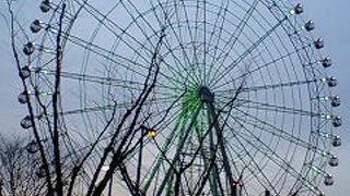 夜の観覧車が素敵です。