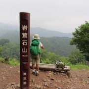 高水三山の一つ。手軽な山。